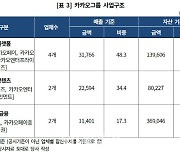 "큰 힘에는 큰 책임" 카카오그룹, 금융 중심 강화되는 규제