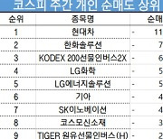 코스피 주간 개인 순매도 1위 '현대차'