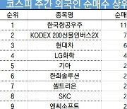 코스피 주간 외국인 순매수 1위 '한국항공우주'