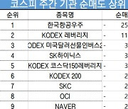 코스피 주간 기관 순매도 1위 '한국항공우주'