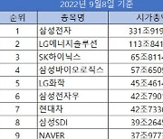 시총 20조 넘었던 카뱅·카페·크래프톤 등 시총 축소