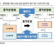 물적분할 후 자회사 IPO '제동'.. "수급 부담 완화 전망"