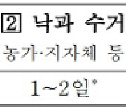 태풍으로 낙과한 사과·배..농가에 20kg당 1만원 수매 비용 지원한다