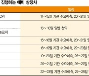 IPO 큰장에도 웃지 못하는 예비 상장사들