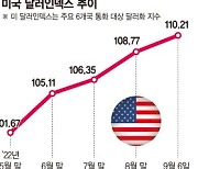 20년만에 최고 몸값 '달러'.. 고심 커지는 외환당국 ['달러 쏠림' 심화되나]