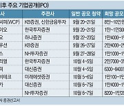 줄잇는 IPO..이달만 공모주 청약 10여곳