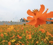 내일 전국 흐리고 충청·남부 가끔 비..서울 낮 최고 28도