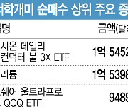 "레버리지 베팅" 서학개미, '반도체 3배 ETF' 가장 많이 샀다