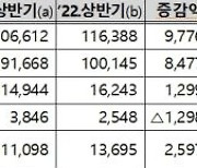 카드업계, 올 상반기 당기순익 8.7% 늘어 1조6243억원