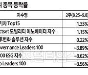 [테마 Up&Down] 美 인플레감축법에 웃는 '친환경'.. 우크라전에 우는 'ESG' 테마주