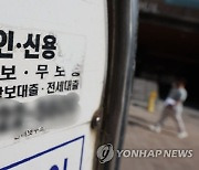 다중채무자 450만명 넘어.."대출 부실화 우려"