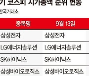 LG화학 단숨에 5위.. 실적 빛난 포스코케미칼 20계단 껑충