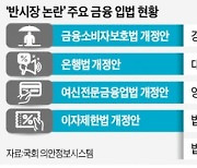 "법정 최고금리 낮춰라", "대출 원가 공개하라"..시장 자율성 침해하는 금융법안 '봇물'