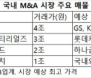 4조 메디트·3조 일진·2조 롯데카드..4분기 M&A 큰장 선다