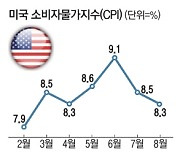 美 8월 물가 8.3% 올라..3연속 자이언트스텝 무게 [월가월부]