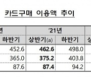 거리두기 완화에.. 상반기 카드사 순익 8.7% 늘었다