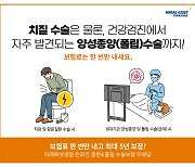 미래에셋생명, 1만원대 온라인 '치질보험' 출시