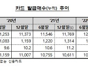 카드사 상반기 순이익 1.6조원..카드 이용액 '쑥'