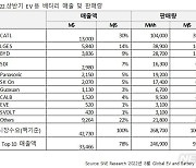 올 상반기 배터리 판매, 中 1·3위 차지..2위는 LG엔솔