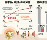 햇살론 부실 우려..대위변제율 2년새 3배