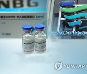 유니세프 전 평양사무소장 "북, 중국산 백신 도입 가능성 커"