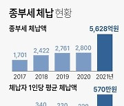 [그래픽] 종부세 체납 현황