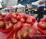 "전국 우수 농산물 서울 '농부의 시장'서 만나세요"