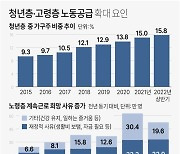 [그래픽] 청년층·고령층 노동공급 확대 요인