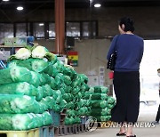 비싼 배추값에 발길 돌리는 시민