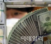 환율, 금융위기 이후 처음 1390원대..20원대 상승폭