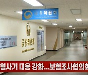 (영상)정부, 보험사기 대응 강화..보험조사협의회 가동