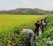 속속 발생하는 태풍에..北, 내부에 경각심 유지 주문