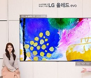 압도적 화질이 거실 벽면 가득..LG전자, 97형 OLED TV 출시