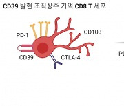 면역 항암 치료, 어떤 환자에게 효과 좋을까