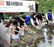 삼성디스플레이, 멸종 위기종 '물장군' 살리기 나서