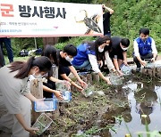 삼성디스플레이, 멸종 위기종 '물장군' 살리기 나섰다