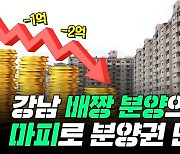 "-5000만원"..배짱 분양 강남아파트의 최후[부릿지]