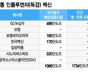 트윈데믹 가능성에..불붙은 '독감백신 전쟁'