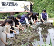 삼성디스플레이, 멸종위기종 '물장군 살리기' 나서