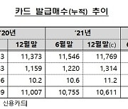 잠 자는 휴면카드 1400만매..부작용없나