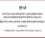 햄버거 매장에 때아닌 '양상추 대란'.."양배추와 혼합 제공도"