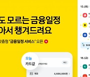 "카드값 내는 날입니다"..카카오페이, 맞춤형 금융일정 서비스 실시