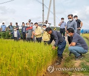 강원 고성군 벼농사 종합평가회