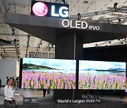 "OLED, 경제안보 자산 아냐" vs "차세대 디스플레이 초격차 지켜야"