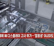 (영상)中 공세에 韓 디스플레이 고사 위기..'철옹성' OLED도 빨간불