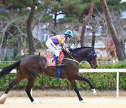 '금수저 혈통'의 경쟁..1400m 우승후보는?