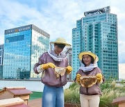 KB금융, 여의도 본점 옥상 도시양봉장에서 첫 꿀 수확