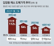 "金배추에 김치없는 밥상".. 양배추로 김치 담그기도