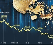 美물가 충격에 비트코인 9%↓.. '크립토 윈터' 장기화