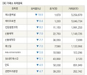 [fnRASSI]장마감, 거래소 하락 종목(에스엠벡셀 -19.9% ↓)